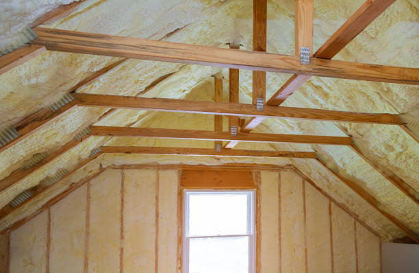 Best Geographic-Specific Insulation Services in Phenix City, AL