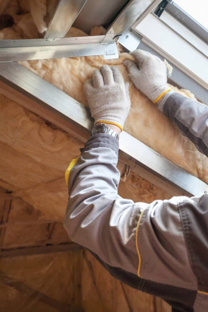 Best Residential Insulation in Phenix City, AL